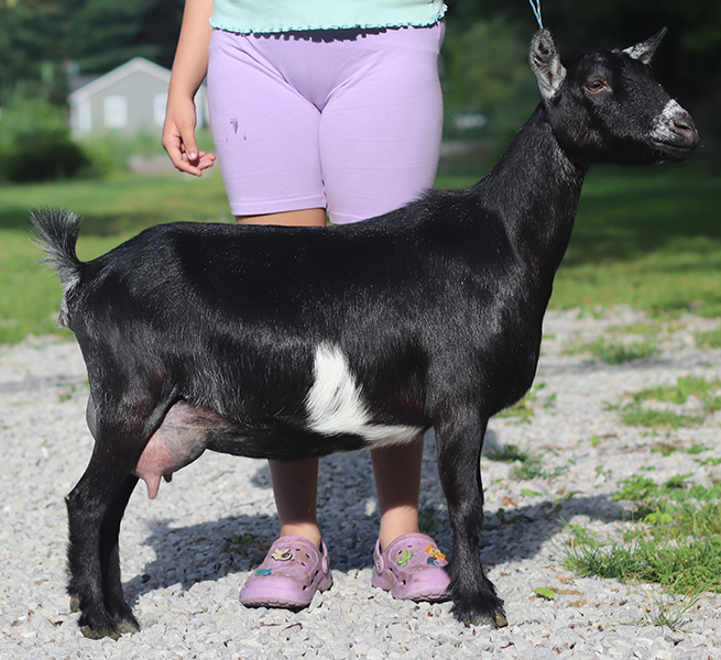 lesperance black sabbath